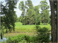  4004 Golfside Dr, Orlando, Florida  6048095