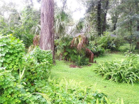  110 HOLLY TREE LN, Brandon, FL 6354797