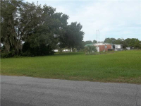 308 CLEARWATER AVE, Polk City, FL 6400306