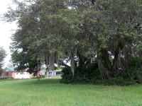  308 CLEARWATER AVE, Polk City, FL 6400312