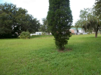  308 CLEARWATER AVE, Polk City, FL 6400321