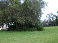  308 CLEARWATER AVE, Polk City, FL 6400311