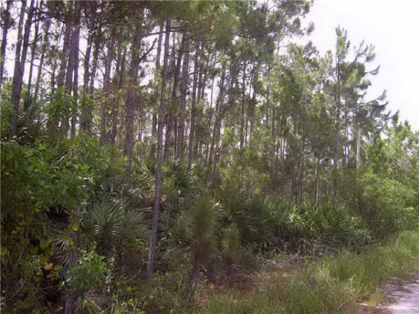  5024 Tree Top Trail, Fort Pierce, FL photo