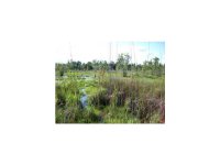  9758 Nichols Lake Rd, Milton, FL 7602646