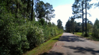  000 Ladda Ct, Milton, FL 7604583