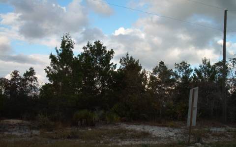  13307 Garnet Terr, Sebring, FL photo