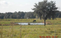  7151 State Rd 64 West, Ona, FL 8014894