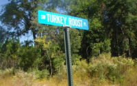  Lot #19 SW Turkey Roost Place, Fort White, FL 8231666