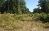  Lot #19 SW Turkey Roost Place, Fort White, FL 8231669