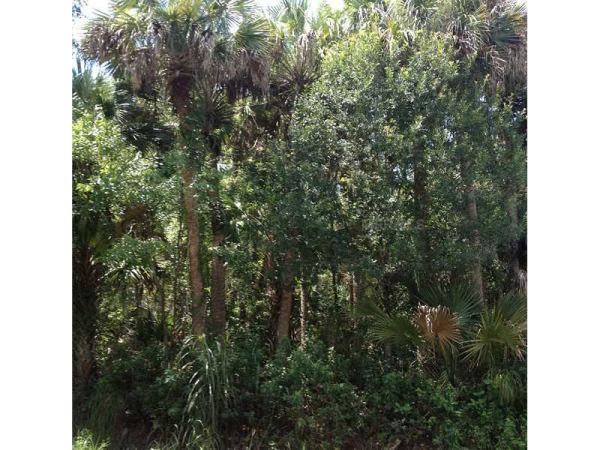  1350 Palm Way, Sanford, FL photo