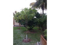  2880 SW 123 CT, Miami, Florida 8791939