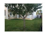  11620 SW 243 ST, Homestead, Florida 8804978