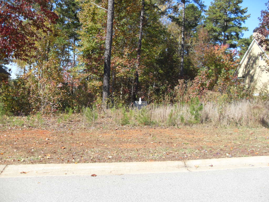  LOT 19 MULBERRY GREEN, JEFFERSON, GA photo