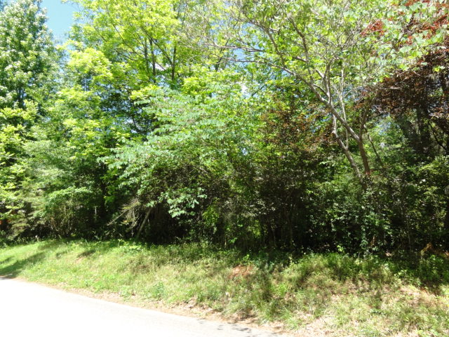  Lot 1249, Dallas, GA photo