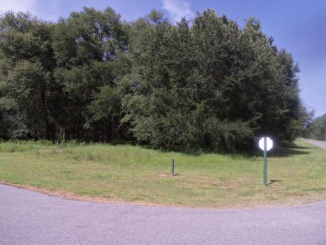  LOT 418 COOPERS PT, TOWNSEND, GA photo