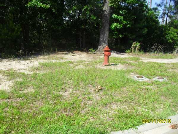  317 Lot, Savannah, GA photo