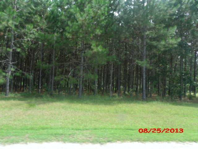  50 acres US HWY 319, Moultrie, GA photo