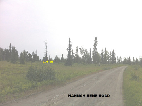  31150 Hannah Rene Road, Anchor Point, AK photo