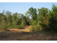  0 Mulberry Rock Road, Dallas, GA 7527840