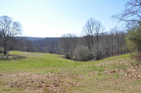  117 Blue Ridge Overlook, Dawsonville, GA 7536928