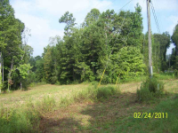  1 War Hill Pk At Mary Saphire Road, Dawsonville, GA 7612133