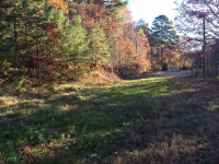  801 Seed Tick Road, Dawsonville, GA 7614783