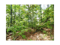  0 Lot 34 Eagle Ridge, Dawsonville, GA 7683362