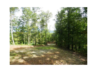  0 Lot 34 Eagle Ridge, Dawsonville, GA 7683359