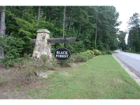  500 Blacks Cabin Way, Dallas, GA 7841529