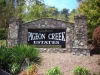  340 Pigeon Creek Drive, Dawsonville, GA 7880832