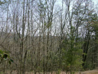  475 Amicalola Woods Dr, Dawsonville, GA 7880906