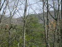  475 Amicalola Woods Dr, Dawsonville, GA 7880900