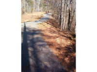  0 Old Kerns Road, Dawsonville, GA 7893038