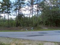  0 Conley Ditch Road, Covington, GA 7895733