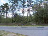  0 Conley Ditch Road, Covington, GA 7895734