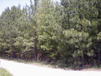  0 Hwy 381 Parcel B, Dallas, GA 7924462