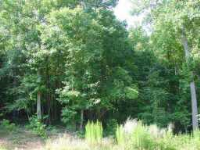  0 Lot 17 Carriage Avenue, Jefferson, GA 7925702