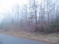  0 Winfield Station Trail, Dawsonville, GA 8012810