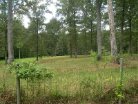  0 Perimeter Road, Dawsonville, GA 8056935