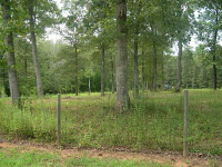  0 Perimeter Road, Dawsonville, GA 8056934