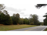  372 Blue Ridge Overlook, Dawsonville, GA 8175101