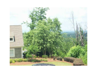  40 Highland Pointe Circle W, Dawsonville, GA 8180752