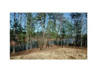  0 War Hill Park Road, Dawsonville, GA 8258065