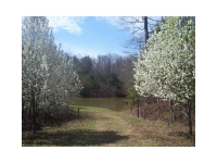  0 Howser Mill Place, Dawsonville, GA 8279102