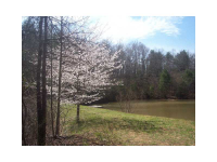  0 Howser Mill Place, Dawsonville, GA 8279105