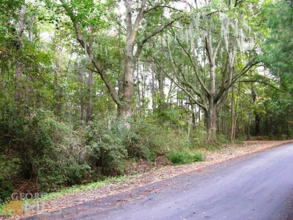  0 Magnolia Ave Ave, Savannah, GA photo