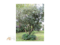  1407 32nd St, Savannah, GA 8590082