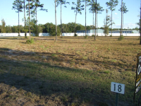  Lot 18 Charles Towne Place, Townsend, GA 8590951