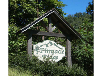  12 Pinnacle Ridge, Clayton, GA 8678218