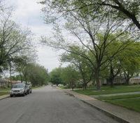  176 W 29th Pl, South Chicago Heights, IL 4561376
